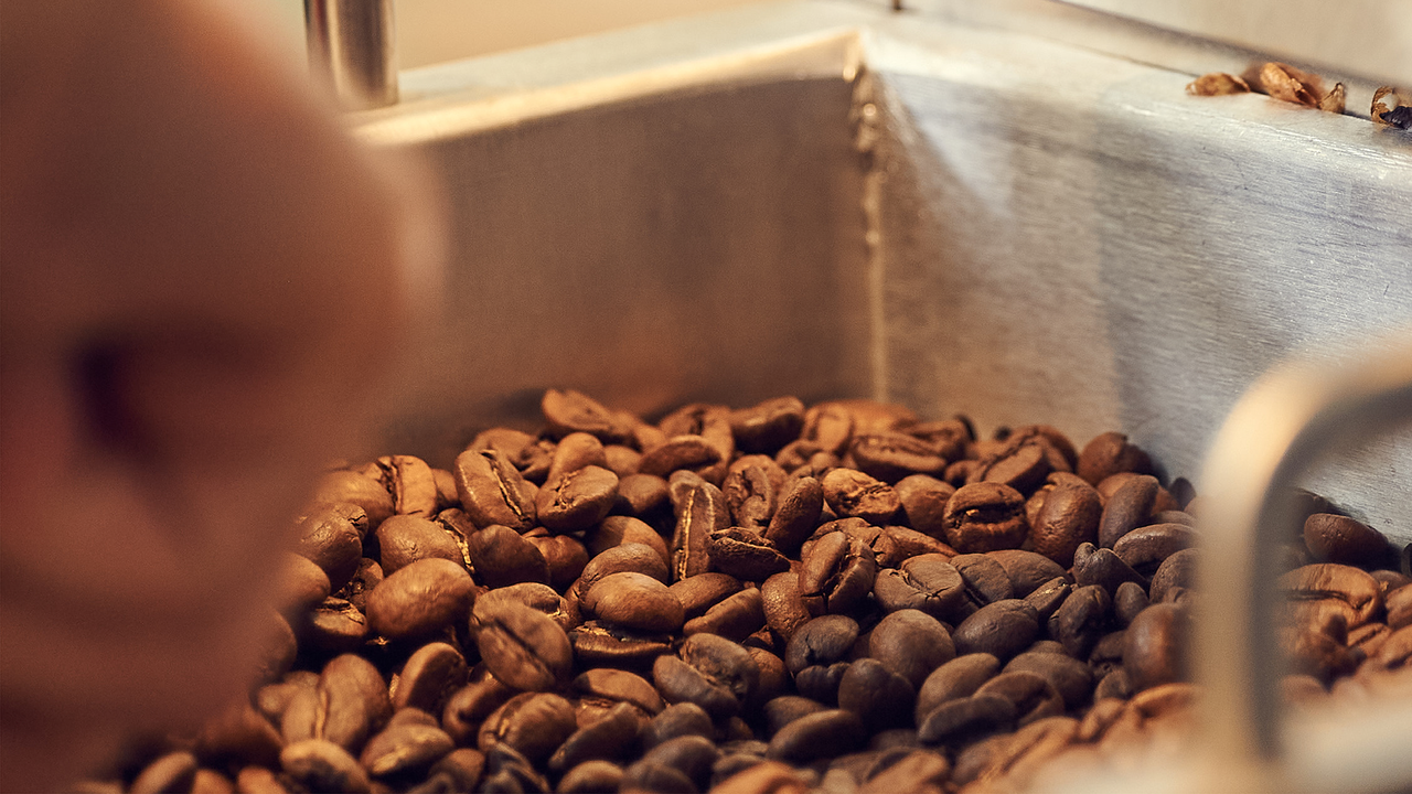 Sie lernen an Ihrem Anlass bei uns die gesamte Kaffee-Wertschöpfungskette, von Anbau bis Zubereitung, kennen. Sie dürfen selber Kaffee rösten, diesen danach verkosten und mit anderen Röstkaffees vergleichen. Sie lernen in einer freundlichen und humorvollen Weise viel über den Zaubertrank Kaffee.