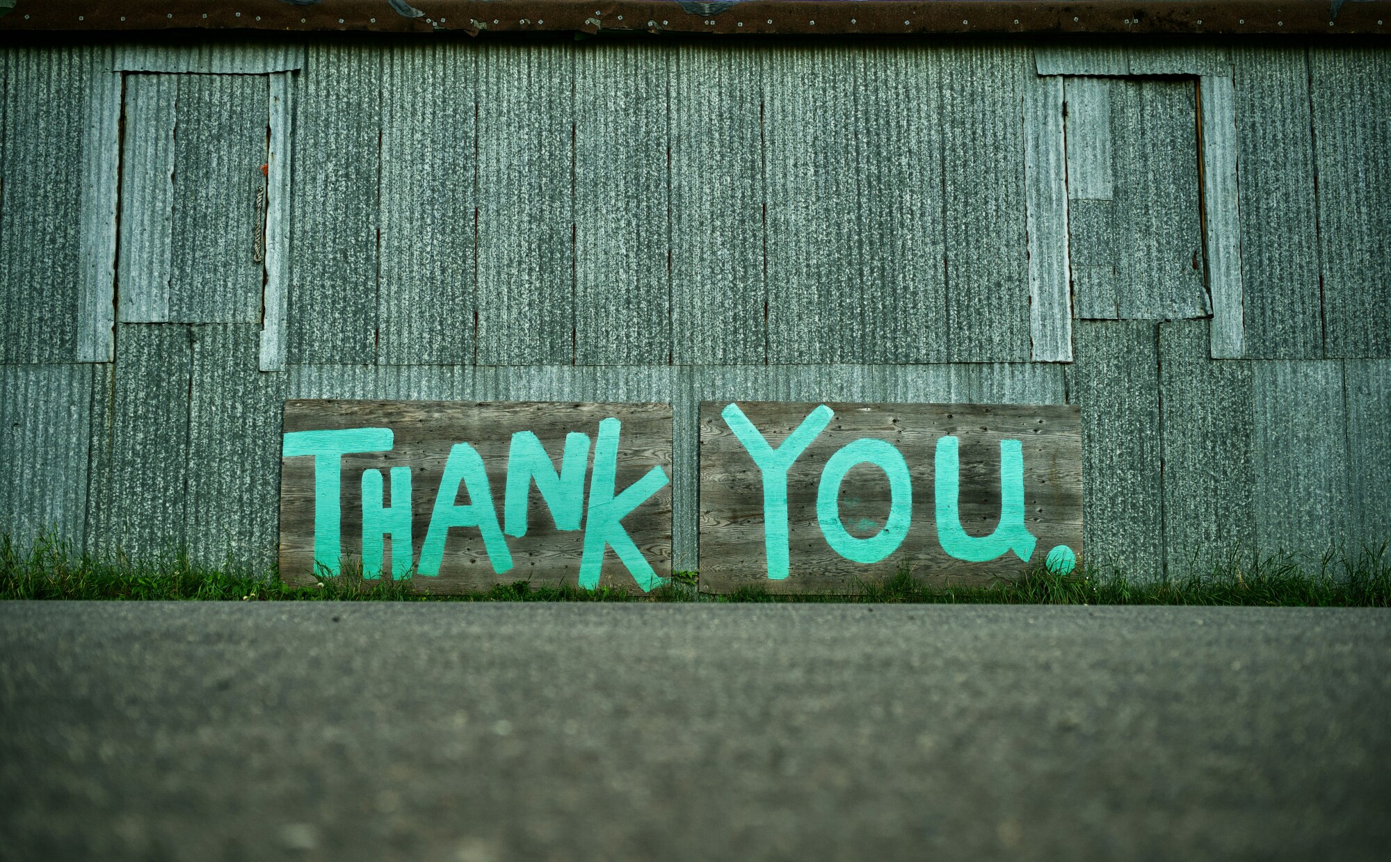 Es ist ein Schriftzug zu sehen mit der englischen Aufschrift "Thank you".