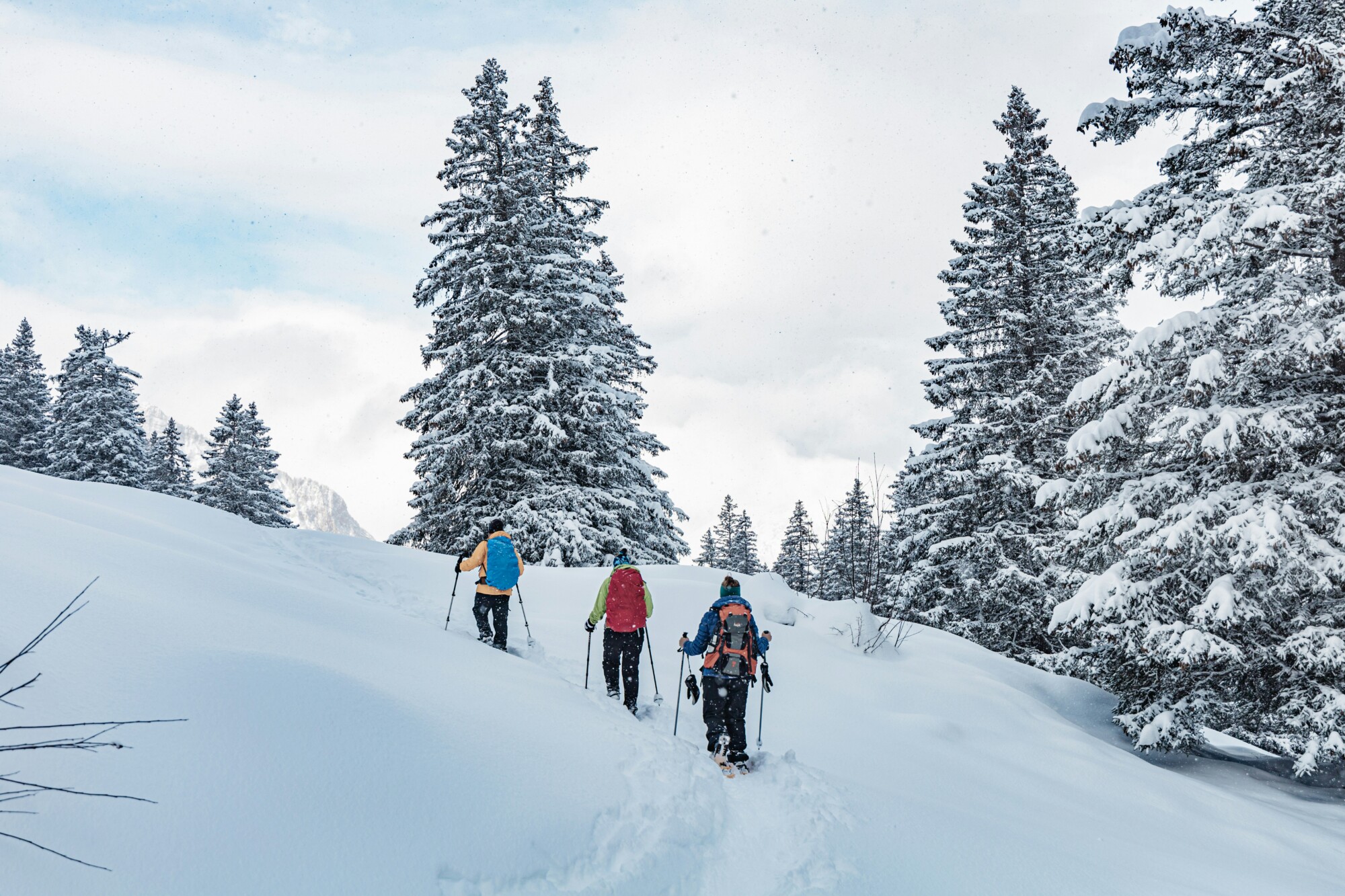 Eine Gruppe von Menschen wandert mit Schneeschuhen durch eine verschneite Winterlandschaft am Waldrand.