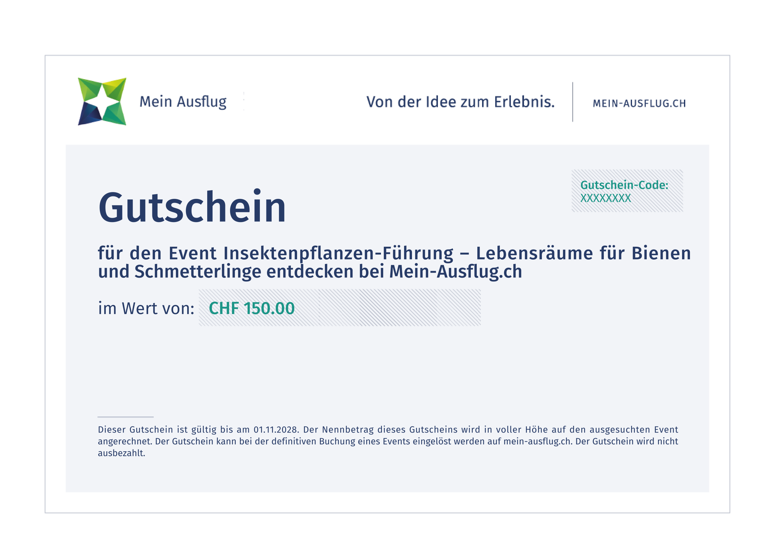 Insektenpflanzen-Führung – Lebensräume für Bienen und Schmetterlinge entdecken