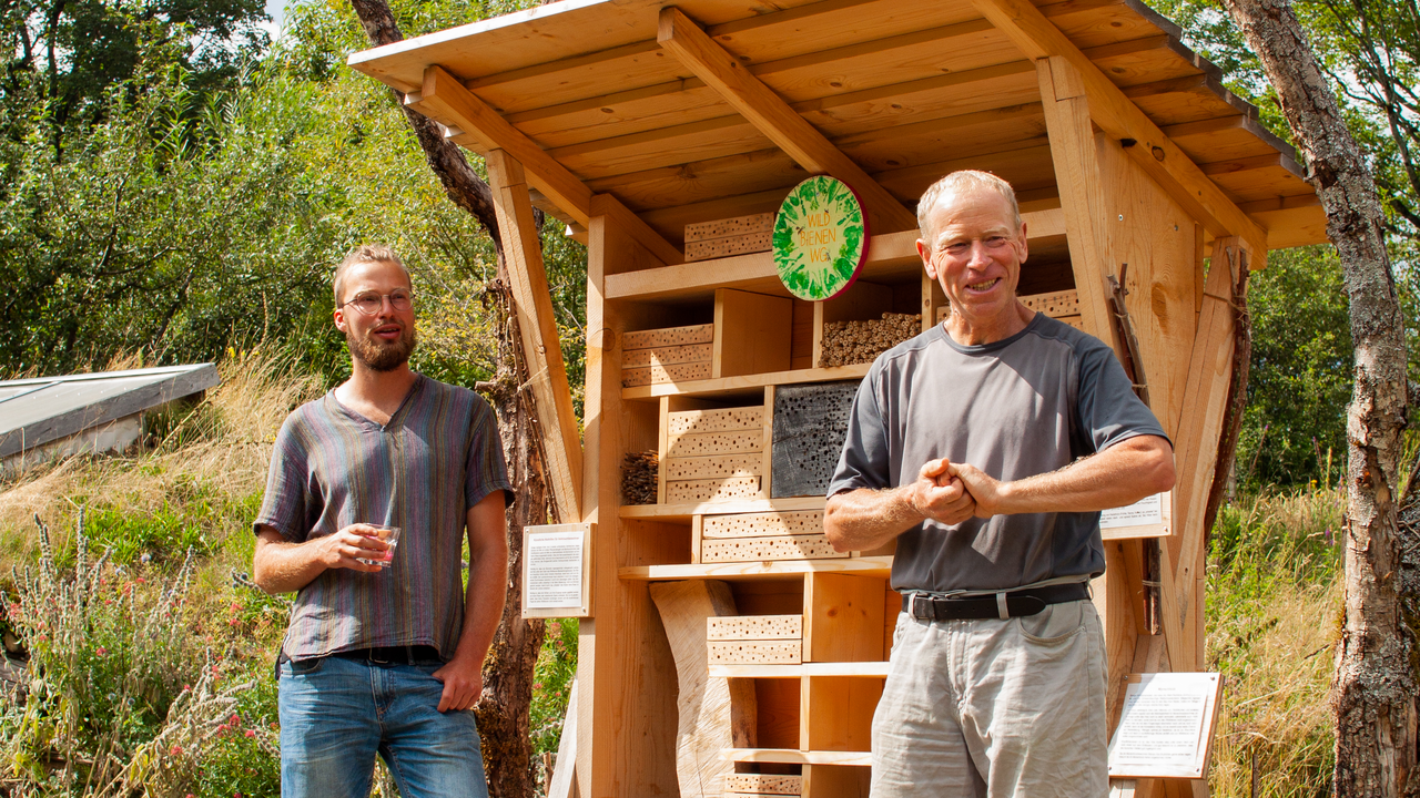 Insektenpflanzen-Führung – Lebensräume für Bienen und Schmetterlinge entdecken
