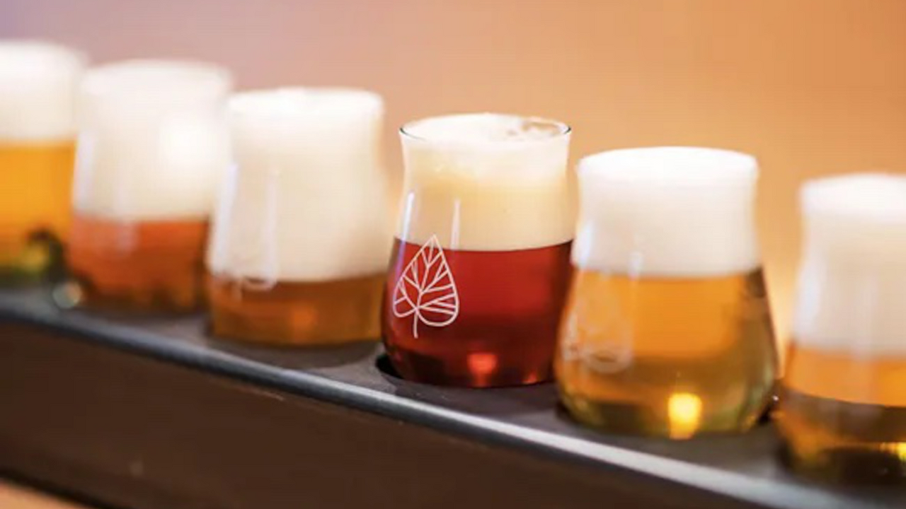 Brauereibesichtigung und Bier-Degustation Wir öffnen für Sie gerne unsere Brauerei und geben bei einer kurzen oder ausführlichen Brauereibesichtigung einen spannenden Einblick in das Brauereihandwerk, die Geschichte und den Betrieb.