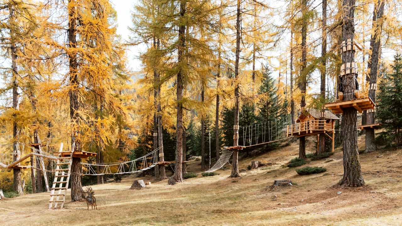 Auf einer Höhe von 3 bis 12 Metern haben wir verschiedene Kletter-Parcours in unserem Lärchenwald aufgebaut. Kommen Sie vorbei und lassen Sie sich überraschen.