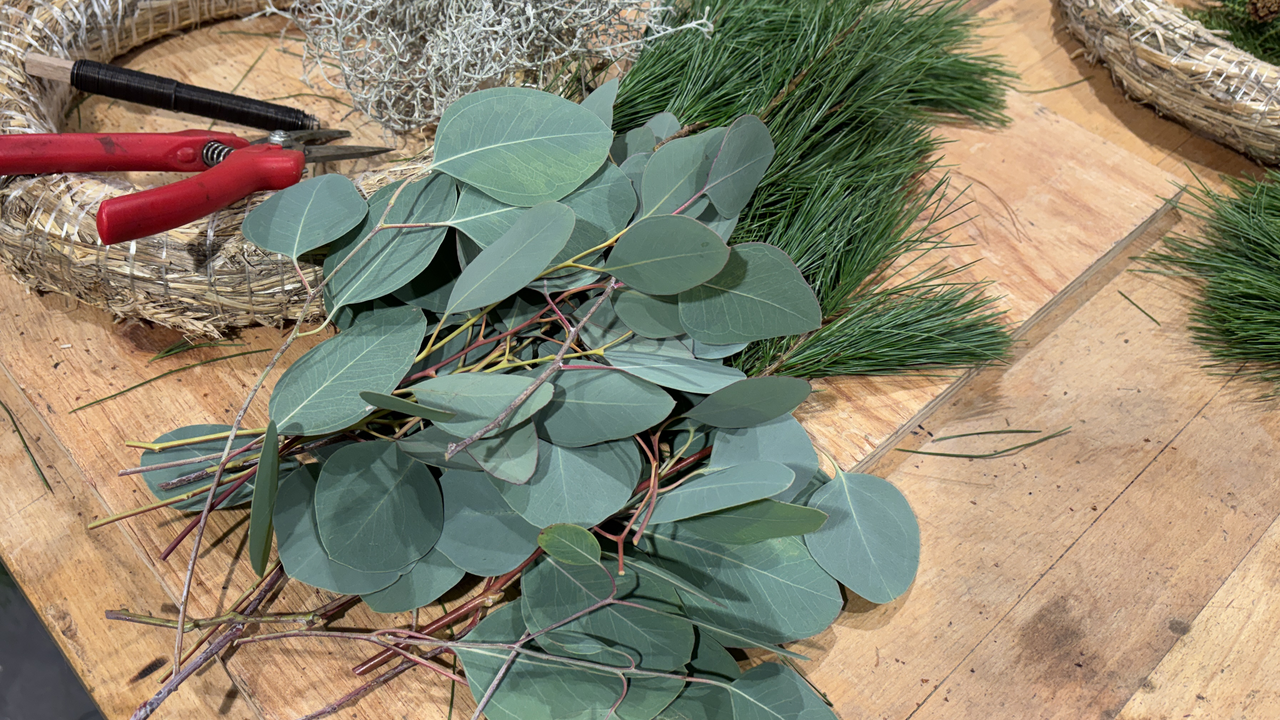 In diesem Workshop zeigen wir euch, wie und mit welchen Materialien ihr euren individuellen Adventskranz binden könnt. Wir führen euch zudem verschiedene Dekorationsmöglichkeiten ganz ohne Heisskleber, Sprühkleber, Farbspray und Steckschaum vor. So kann jede:r dem eigenen Adventskranz eine ganz persönliche Note verleihen.