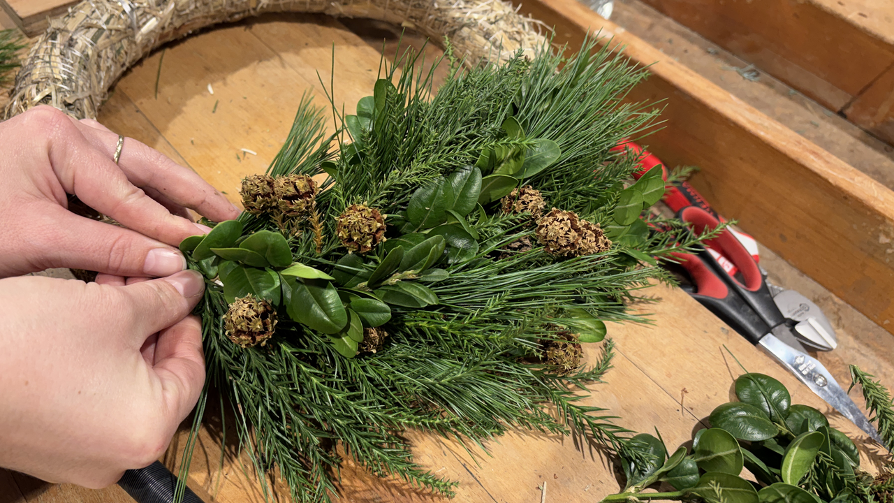 Kreiere deinen individuellen Adventskranz oder ein Adventsgesteck in diesem 3-stündigen Kurs. Ob ein traditioneller Kranz oder ein wildes Gebinde – du fertigst dein Werkstück so, wie es dir gefällt.