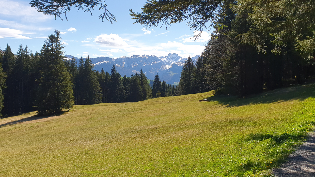 Erleben Sie einen abwechslungsreichen Tag auf der Süffig E-Bike Tour. Die Route startet am Morgen in Teufen mit einer kurzen Einleitung/Erklärung zu den E-Bikes, führt über Bühler zum Gäbris und Hirschberg und endet am Nachmittag in Appenzell. Dank der Zusammenarbeit mit unseren Partnern, der Brauerei Locher AG und der Goba AG ist ein erlebnisreicher und süffiger Teamanlass entstanden. Wir wünschen dabei eine unfallfreie Fahrt, neue Eindrücke und Erkenntnisse sowie viel Spass.