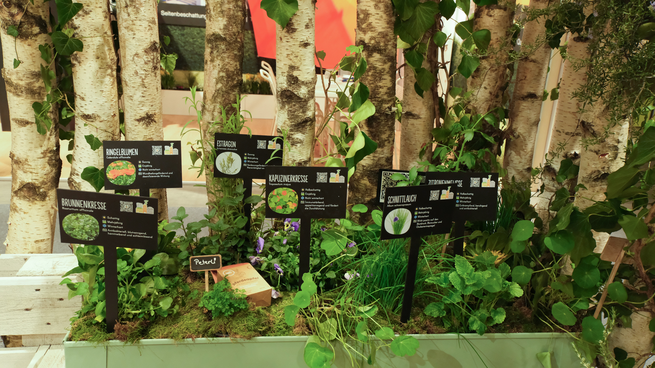 Balkon Bienen- und Insektenfreundlich gestalten Auf deinem Balkon soll es lebhaft Summen und Flattern? Dann bist du in diesem Workshop genau richtig. Lerne in 45 Minuten, welche Pflanzen Bienen, Schmetterlinge und weitere Insekten bevorzugen und in welchen Pflanzgefässen sie am besten gedeihen. Tu was für Bienen und Insekten im urbanen Umfeld und setze mit deinem Balkon ein Zeichen für die Biodiversität.