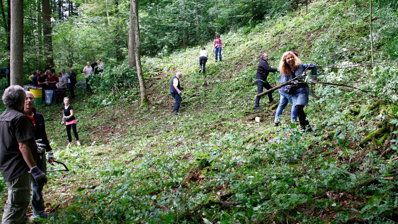 Waldprojekt Diese Veranstaltung fördert die Nachhaltig Ihres Unternehmens, indem die Teilnehmer zusammen mit einem Förster einen halben Tag im Wald verbringen. Dabei werden Lichtungen von Gestrüpp befreit und Neophyten bekämpft. Wenn es von der Jahreszeit her passt, können sogar junge Pflanzen gesetzt werden.