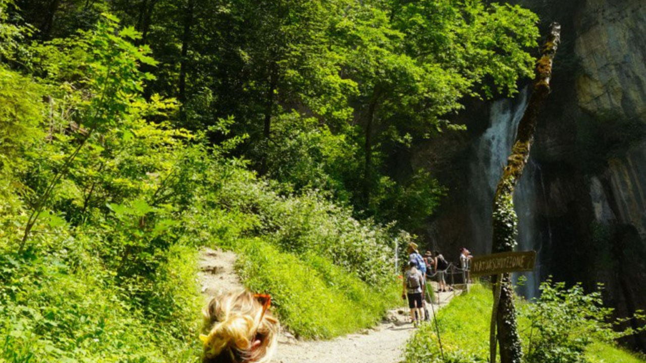 Erleben Sie einen kraftvollen Tag in der Natur. Bei unserer Wildkräuterwanderung starten wir vom Kurszentrum oder einem anderen vereinarten Treffpunkt und begleiten ihre geschlossene Gruppe unter fachkundiger Leitung zu einem ausgesuchten Kraftort. Unterwegs vermittelt eine zertifizierte Kräuterpädagogin praxisnahes Wissen zu heimischen Pflanzen und ihre Anwendung - ergänzt durch Achtsamkeits- u. Meditationsübungen unter Leitung einer ausgebildeten Yogalehreren- und Achtsamkeitstrainerin. Ein nahrhaftes Lunchpaket mit Wildkräutern und selbstgemachtem Getränkt sorgt für Stärkung, Besinnung und Genuss.