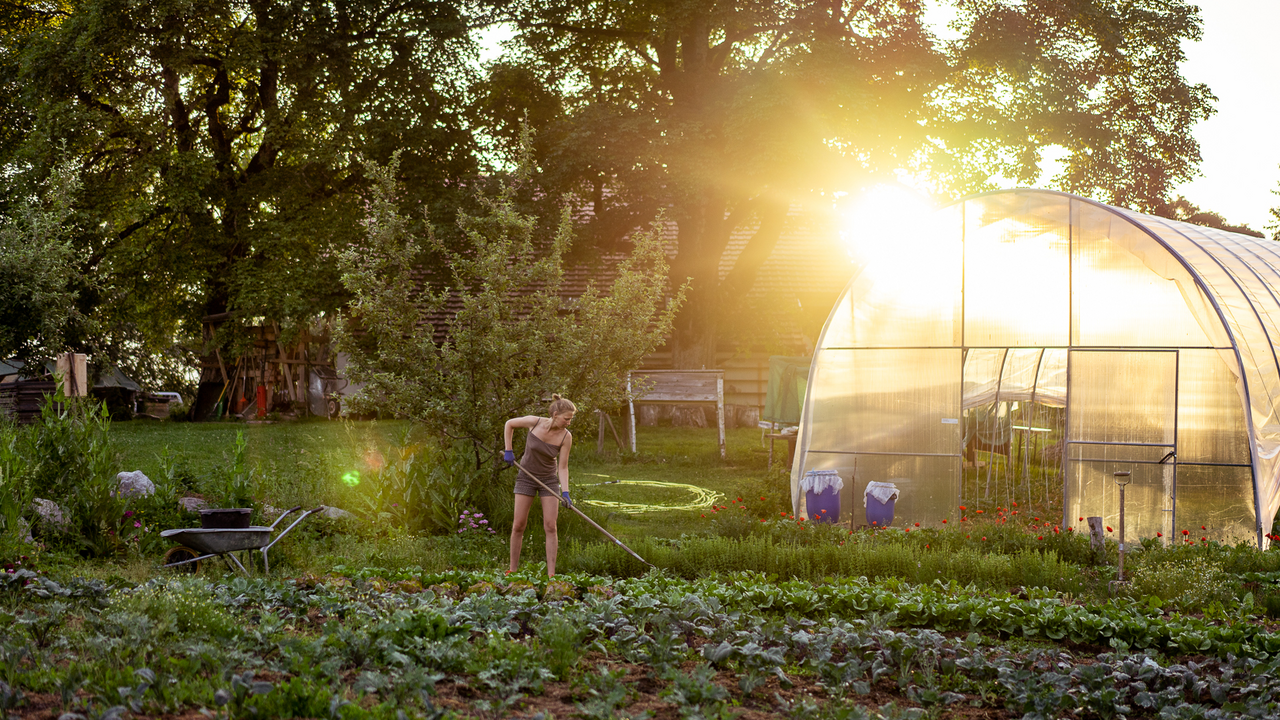 Hoch über dem Tal, inmitten einer vielfältigen Berglandschaft, pflegen wir eine der artenreichsten Permakulturanlagen der Schweiz. Auf dieser geführten Tour tauchen Sie ein in unsere Gärten, Terrassen und Anbauflächen. Sie besuchen den Gemüsegarten, die Staudengärtnerei, den Saatgutgarten, den Pilzpfad und die duftenden Kräuterterrassen.