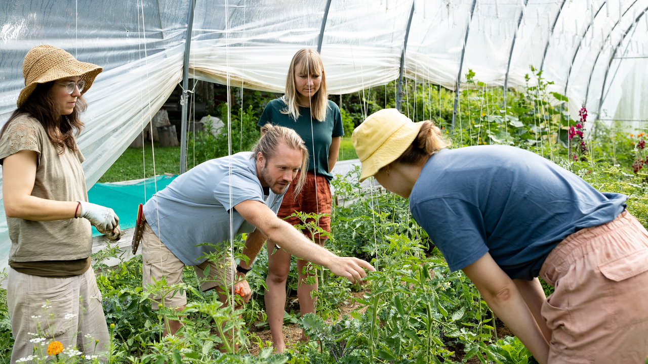 Hoch über dem Tal, inmitten einer vielfältigen Berglandschaft, pflegen wir eine der artenreichsten Permakulturanlagen der Schweiz. Auf dieser geführten Tour tauchen Sie ein in unsere Gärten, Terrassen und Anbauflächen. Sie besuchen den Gemüsegarten, die Staudengärtnerei, den Saatgutgarten, den Pilzpfad und die duftenden Kräuterterrassen.