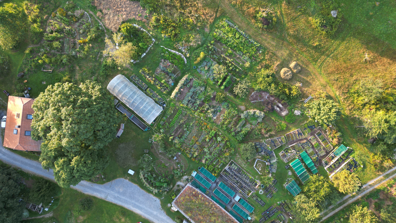 Lebensräume für Bienen & Schmetterlinge Bienen, Schmetterlinge und andere Insekten sind für gesunde Ökosysteme unersetzlich. Auf dieser Führung entdecken Sie die wichtigsten Pflanzen, die Insekten wertvolle Nahrung und Lebensraum bieten. Sie erfahren, an welchen Pflanzen sich Raupen entwickeln, welche Blüten für Wildbienen besonders attraktiv sind und wie wir in der Permakultur gezielt Lebensräume schaffen. Der Rundgang führt Sie quer durch blühende Gartenanlagen und artenreiche Wiesen. Unterwegs gibt es Tipps, wie sich auch im eigenen Garten oder auf dem Balkon insektenfreundliche Strukturen schaffen lassen. Dieses Angebot verbindet Naturwissen mit praktischen Ideen für den eigenen Alltag und inspiriert dazu, Verantwortung für die Umwelt zu übernehmen. Für Firmen und Vereine ist es ein gemeinsames Erlebnis mit bleibendem Mehrwert.