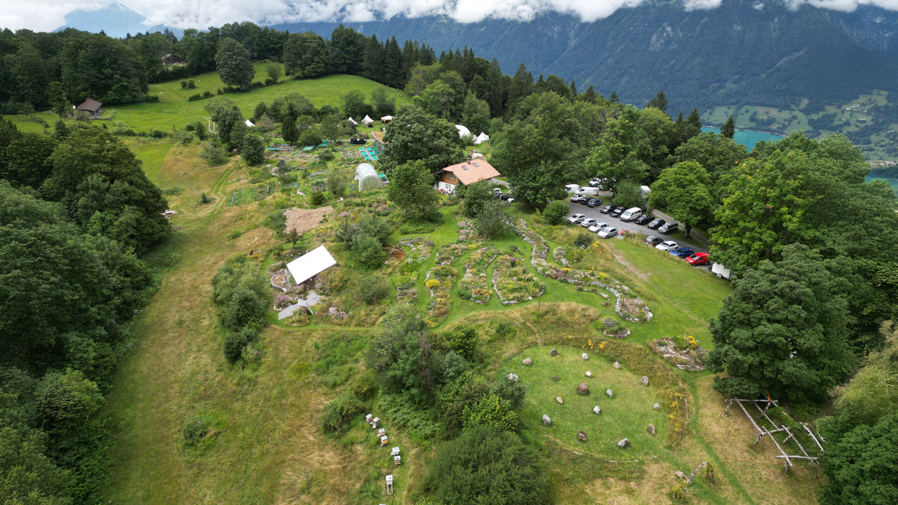 Hoch über dem Tal, inmitten einer vielfältigen Berglandschaft, pflegen wir eine der artenreichsten Permakulturanlagen der Schweiz. Auf dieser geführten Tour tauchen Sie ein in unsere Gärten, Terrassen und Anbauflächen. Sie besuchen den Gemüsegarten, die Staudengärtnerei, den Saatgutgarten, den Pilzpfad und die duftenden Kräuterterrassen.