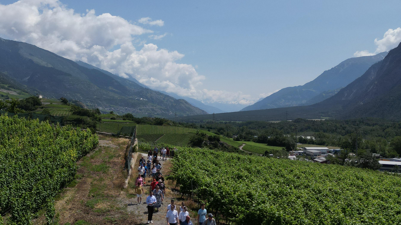 Die Weinwanderung Salgesch verbindet Bewegung, Genuss und Geselligkeit inmitten der Walliser Rebberge. Entlang einer abwechslungsreichen Route entdecken Gruppen regionale Weine, kulinarische Highlights und ein einzigartiges Ambiente. Der Anlass bietet die perfekte Kombination aus Teamevent, Ausflug und genussvollem Erlebnis.