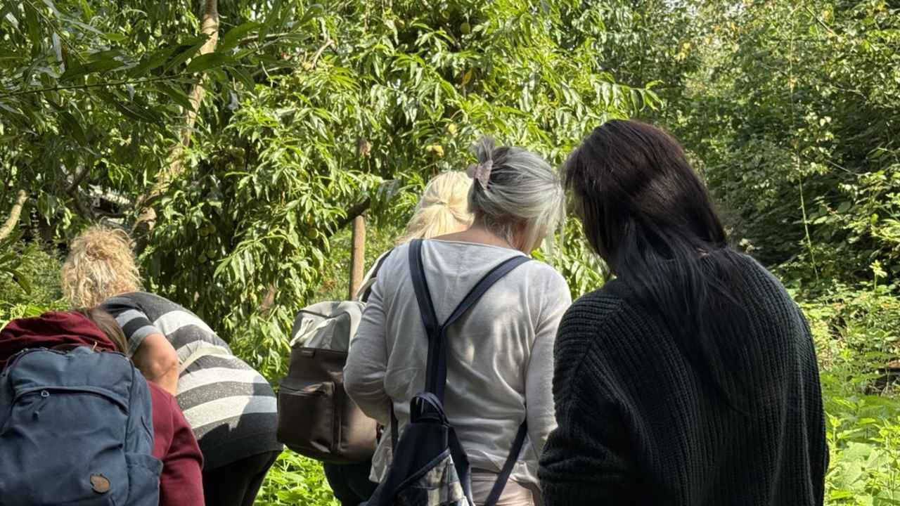 Erleben Sie einen kraftvollen Tag in der Natur. Bei unserer Wildkräuterwanderung starten wir vom Kurszentrum oder einem anderen vereinarten Treffpunkt und begleiten ihre geschlossene Gruppe unter fachkundiger Leitung zu einem ausgesuchten Kraftort. Unterwegs vermittelt eine zertifizierte Kräuterpädagogin praxisnahes Wissen zu heimischen Pflanzen und ihre Anwendung - ergänzt durch Achtsamkeits- u. Meditationsübungen unter Leitung einer ausgebildeten Yogalehreren- und Achtsamkeitstrainerin. Ein nahrhaftes Lunchpaket mit Wildkräutern und selbstgemachtem Getränkt sorgt für Stärkung, Besinnung und Genuss.