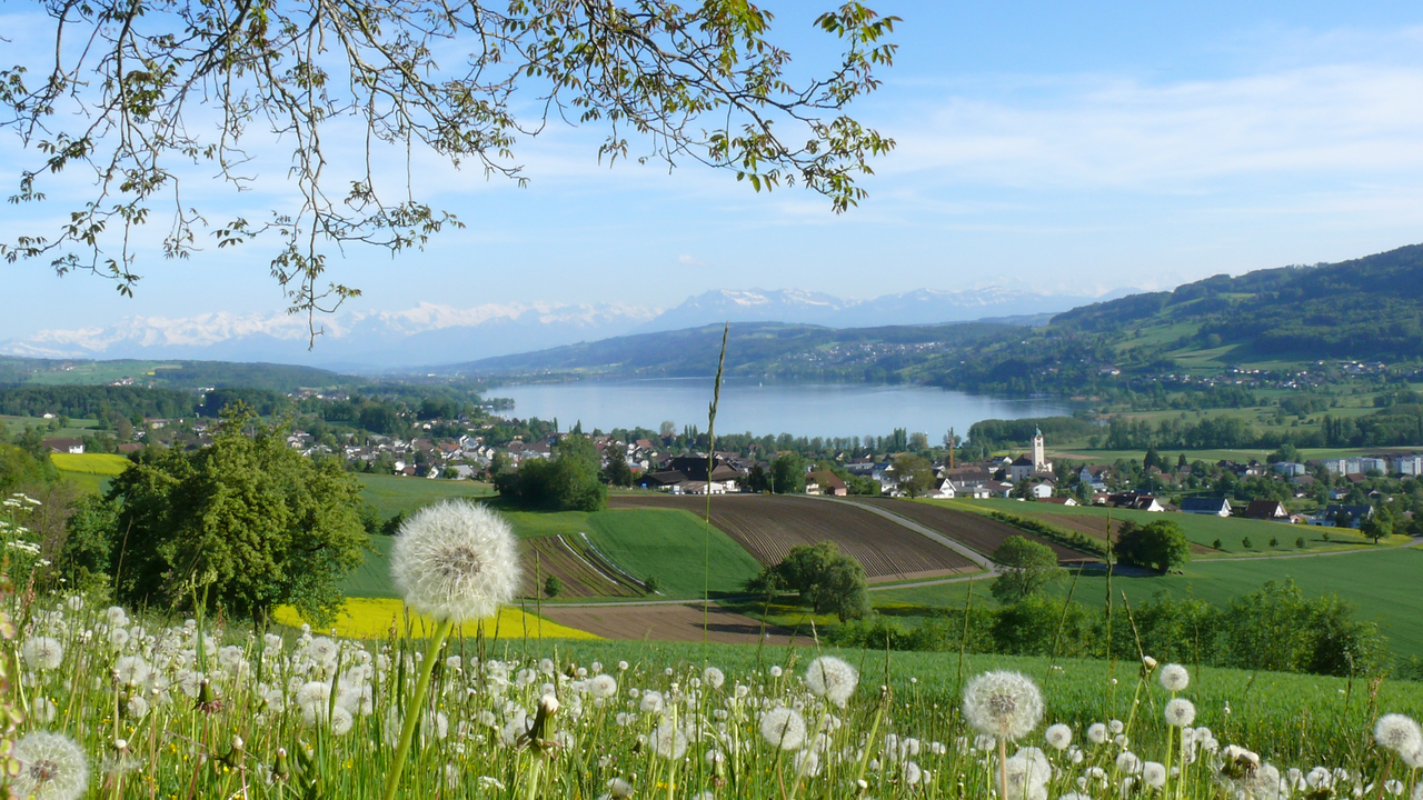 „Hauptsache Cabrio!“ - Bus und Restaurant Bereit für eine absolut unvergessliche Genussreise? Dann schnallen Sie sich an, denn wir nehmen Sie mit auf eine Fahrt der Superlative! Steigen Sie ein in unseren Cabrio-Panorama-Bus oder wählen Sie Ihr persönliches Lieblingsfahrzeug und machen Sie sich bereit für eine kulinarische Reise zum allerersten Cabrio-Restaurant der Schweiz. Hier erwarten Sie nicht nur feinste regionale Küche, sondern auch ein Panorama, das Ihnen den Atem rauben wird – mit Blick über das Seetal, den Hallwilersee und die majestätischen Alpen.