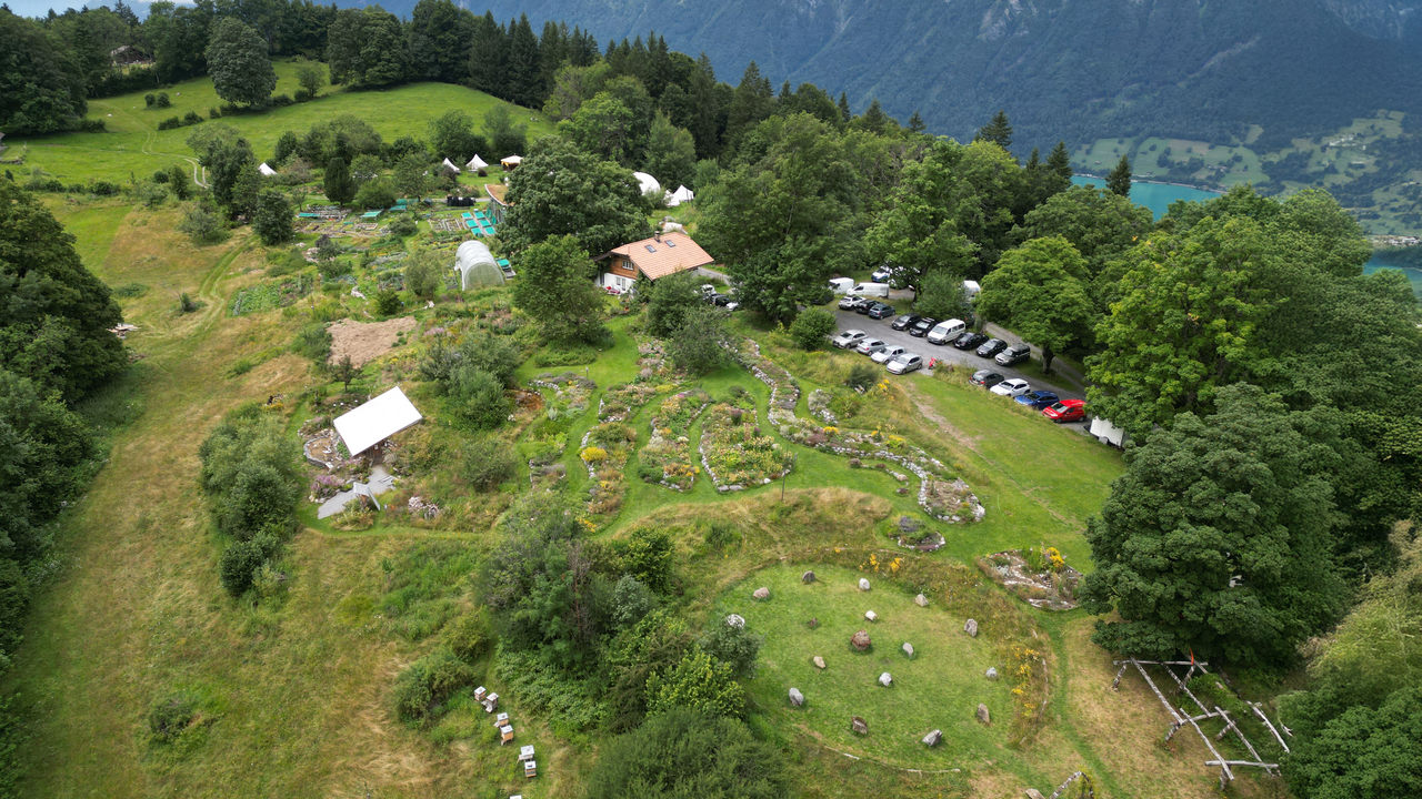Viele Orte in den Alpen gelten seit Jahrhunderten als besondere Kraftplätze. Auf dieser Führung lernen Sie markante Bäume, Felsen und von Menschen geschaffene Orte der Stille kennen. Begleitet von kurzen Meditationen und stillen Momenten können Sie die besondere Atmosphäre dieser Plätze bewusst wahrnehmen. Jeder Ort erzählt seine eigene Geschichte und lädt dazu ein, in eine tiefere Verbindung mit der Natur zu treten.