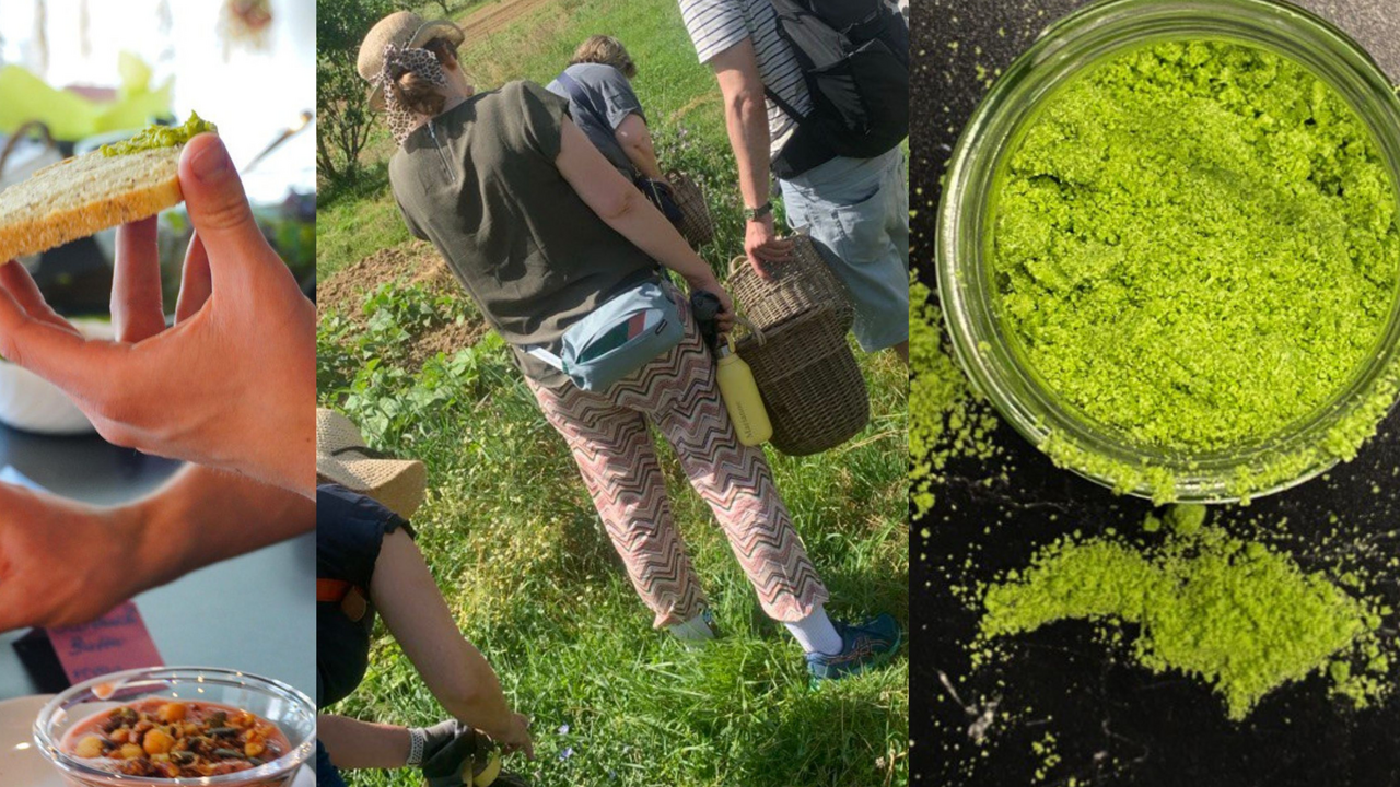 Ein besonderes kulinarisches Erlebnis für geschlossene Gruppen: Starten Sie mit einem reichhaltigen Brunch mit Wildkräutern, entdecken Sie danach bei einem gemeinsamen Spaziergang durch die Natur (ca. 1-1,5 Std.) spannendes Wildkräuterwissen und stellen Sie zum Abschluss Ihr eigenes Kräutersalz oder Pesto als Andenken her.