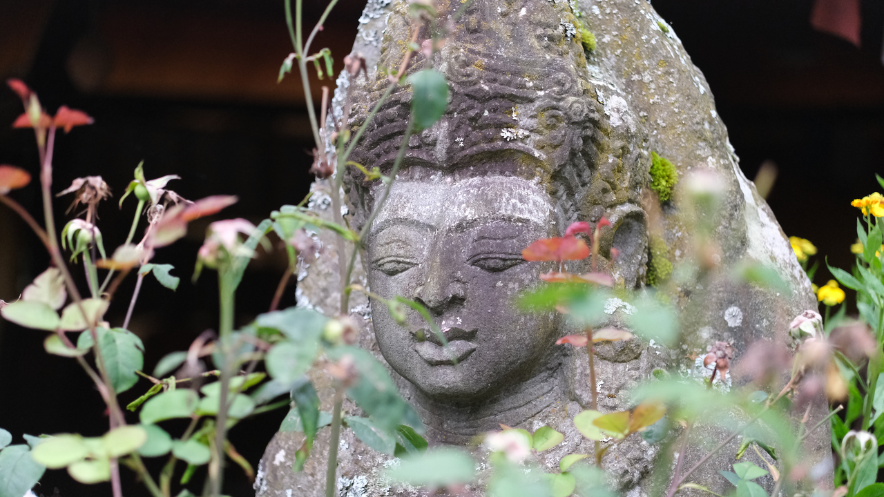 Viele Orte in den Alpen gelten seit Jahrhunderten als besondere Kraftplätze. Auf dieser Führung lernen Sie markante Bäume, Felsen und von Menschen geschaffene Orte der Stille kennen. Begleitet von kurzen Meditationen und stillen Momenten können Sie die besondere Atmosphäre dieser Plätze bewusst wahrnehmen. Jeder Ort erzählt seine eigene Geschichte und lädt dazu ein, in eine tiefere Verbindung mit der Natur zu treten.