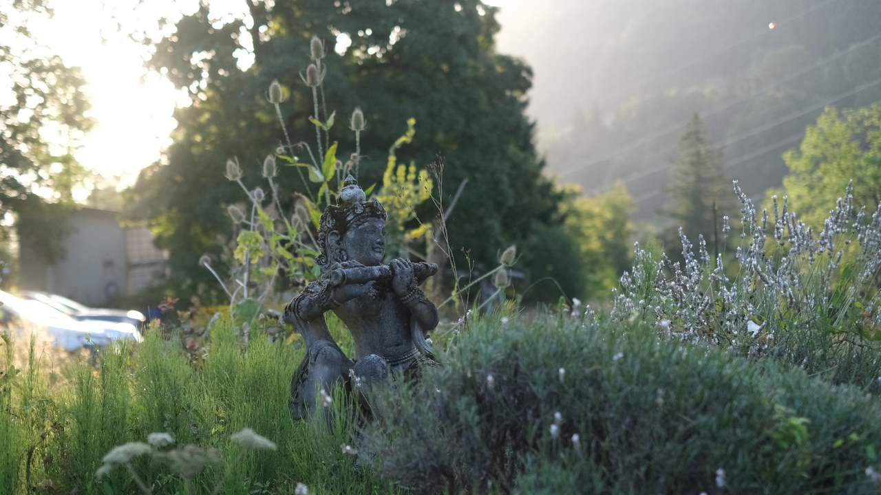 Diese Alp dient bereits seit über 40 Jahren als Rückzugs- und Erfahrungsort für Menschen auf der ganzen Welt, welche auf der Suche sind nach Stille, innerem Frieden und einer spirituellen Praxis. Durch tägliche Rituale und eine bewusste Ausrichtung hat der Platz eine einzigartige Kraft entwickelt. Wir wollen diese Kraft gemeinsam erkunden und uns einen Tag lang auf den Weg durch die Kraftquellen der Alp begeben.