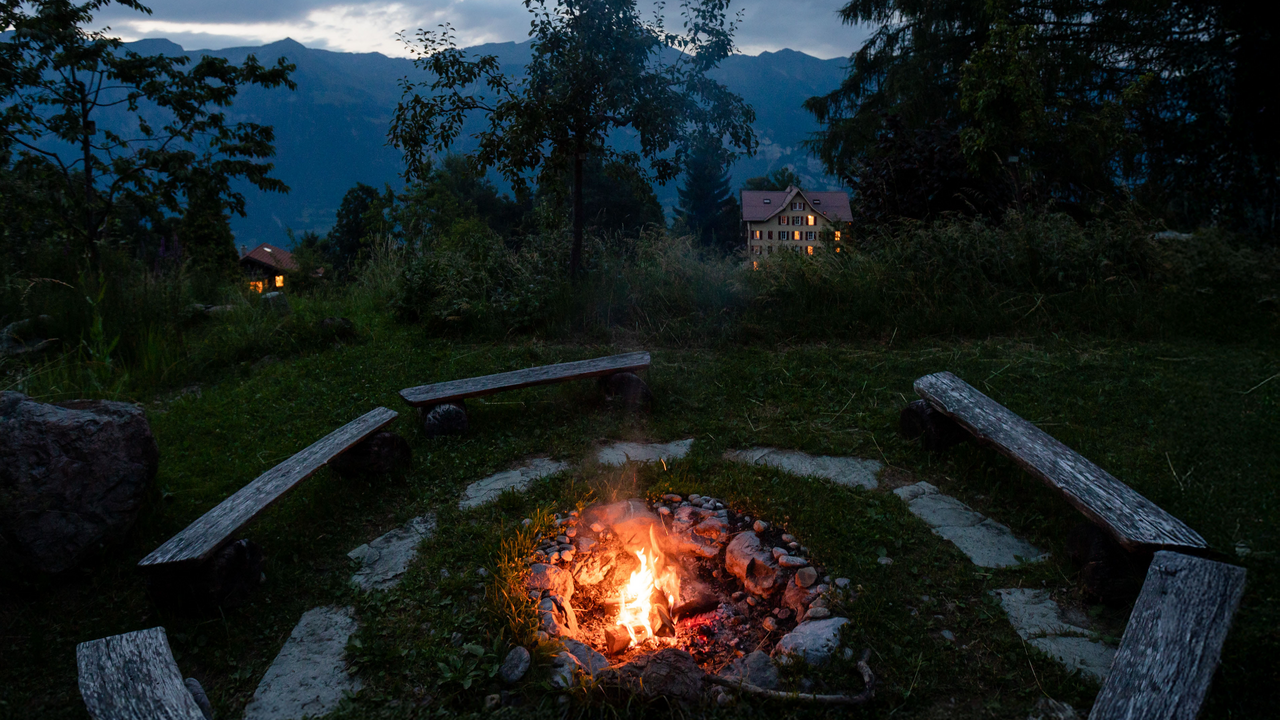 Essbare Wildpflanzen entdecken & Kochen am Feuer Die Natur ist ein reich gedeckter Tisch – wenn man weiss, wo man hinschauen muss. Bei diesem besonderen Erlebnis lernen Sie essbare Wildpflanzen kennen, sammeln und geniessen. Dabei entdecken Sie nicht nur spannende Geschmacksrichtungen, sondern auch die Freude am unmittelbaren Verarbeiten mit dem, was direkt um uns wächst.