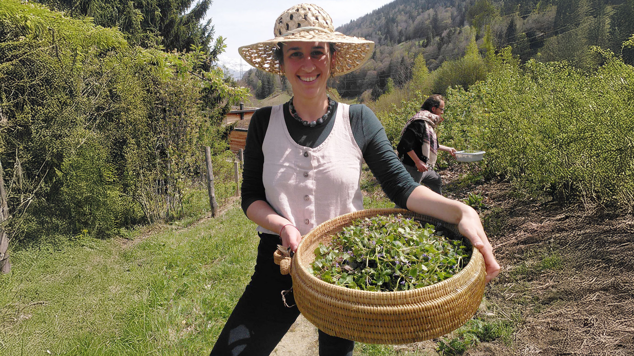 Die Natur ist ein reich gedeckter Tisch – wenn man weiss, wo man hinschauen muss. Bei diesem besonderen Erlebnis lernen Sie essbare Wildpflanzen kennen, sammeln und geniessen. Dabei entdecken Sie nicht nur spannende Geschmacksrichtungen, sondern auch die Freude am unmittelbaren Verarbeiten mit dem, was direkt um uns wächst.