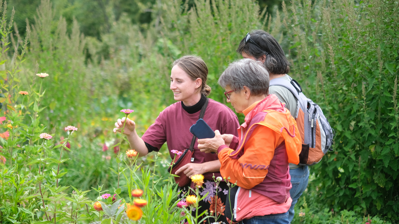 Lebensräume für Bienen & Schmetterlinge Bienen, Schmetterlinge und andere Insekten sind für gesunde Ökosysteme unersetzlich. Auf dieser Führung entdecken Sie die wichtigsten Pflanzen, die Insekten wertvolle Nahrung und Lebensraum bieten. Sie erfahren, an welchen Pflanzen sich Raupen entwickeln, welche Blüten für Wildbienen besonders attraktiv sind und wie wir in der Permakultur gezielt Lebensräume schaffen. Der Rundgang führt Sie quer durch blühende Gartenanlagen und artenreiche Wiesen. Unterwegs gibt es Tipps, wie sich auch im eigenen Garten oder auf dem Balkon insektenfreundliche Strukturen schaffen lassen. Dieses Angebot verbindet Naturwissen mit praktischen Ideen für den eigenen Alltag und inspiriert dazu, Verantwortung für die Umwelt zu übernehmen. Für Firmen und Vereine ist es ein gemeinsames Erlebnis mit bleibendem Mehrwert.