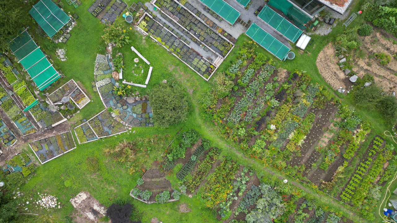 Hoch über dem Tal, inmitten einer vielfältigen Berglandschaft, pflegen wir eine der artenreichsten Permakulturanlagen der Schweiz. Auf dieser geführten Tour tauchen Sie ein in unsere Gärten, Terrassen und Anbauflächen. Sie besuchen den Gemüsegarten, die Staudengärtnerei, den Saatgutgarten, den Pilzpfad und die duftenden Kräuterterrassen.