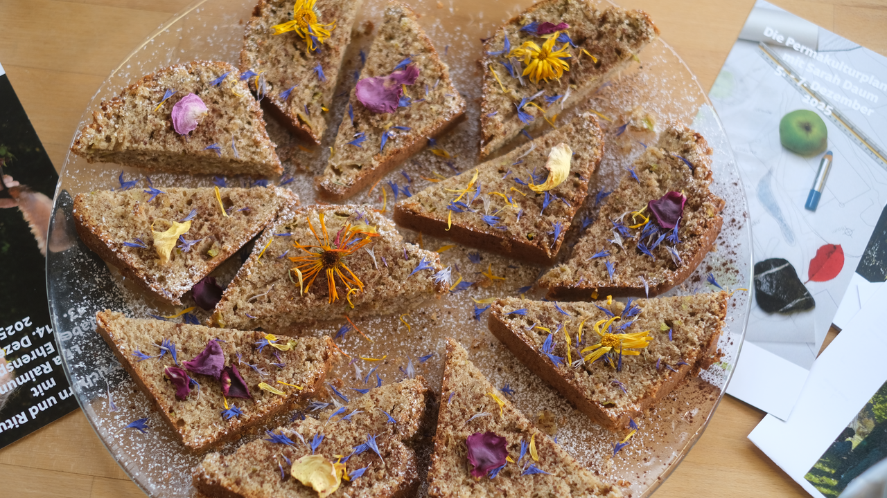 Die Natur ist ein reich gedeckter Tisch – wenn man weiss, wo man hinschauen muss. Bei diesem besonderen Erlebnis lernen Sie essbare Wildpflanzen kennen, sammeln und geniessen. Dabei entdecken Sie nicht nur spannende Geschmacksrichtungen, sondern auch die Freude am unmittelbaren Verarbeiten mit dem, was direkt um uns wächst.