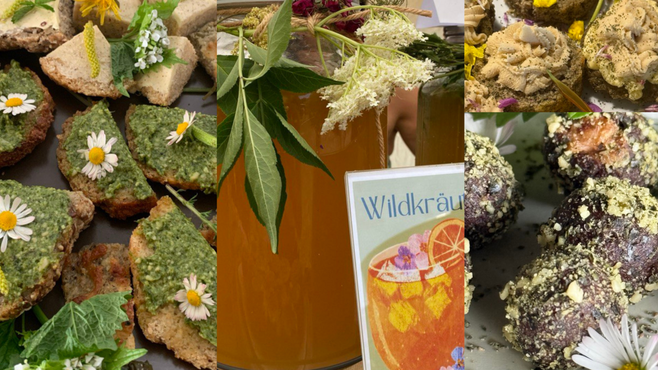 Erleben Sie einen kraftvollen Tag in der Natur. Bei unserer Wildkräuterwanderung starten wir vom Kurszentrum oder einem anderen vereinarten Treffpunkt und begleiten ihre geschlossene Gruppe unter fachkundiger Leitung zu einem ausgesuchten Kraftort. Unterwegs vermittelt eine zertifizierte Kräuterpädagogin praxisnahes Wissen zu heimischen Pflanzen und ihre Anwendung - ergänzt durch Achtsamkeits- u. Meditationsübungen unter Leitung einer ausgebildeten Yogalehreren- und Achtsamkeitstrainerin. Ein nahrhaftes Lunchpaket mit Wildkräutern und selbstgemachtem Getränkt sorgt für Stärkung, Besinnung und Genuss.