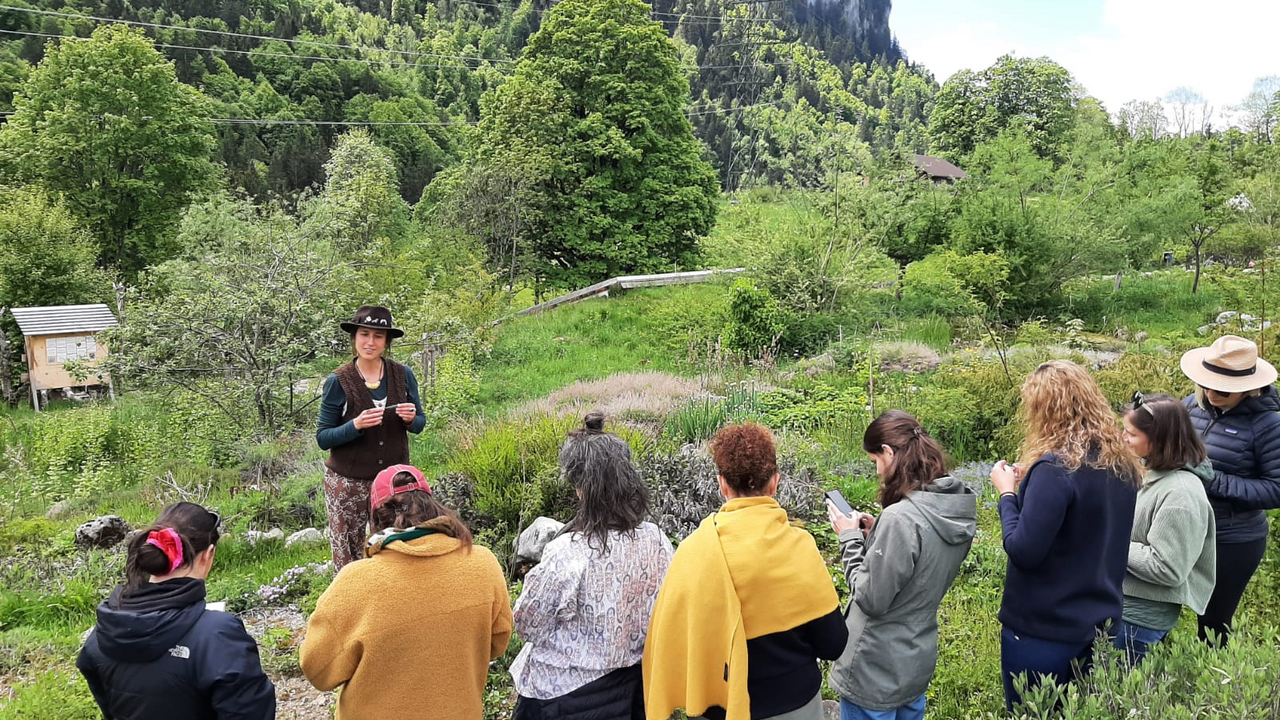 Die Natur ist ein reich gedeckter Tisch – wenn man weiss, wo man hinschauen muss. Bei diesem besonderen Erlebnis lernen Sie essbare Wildpflanzen kennen, sammeln und geniessen. Dabei entdecken Sie nicht nur spannende Geschmacksrichtungen, sondern auch die Freude am unmittelbaren Verarbeiten mit dem, was direkt um uns wächst.