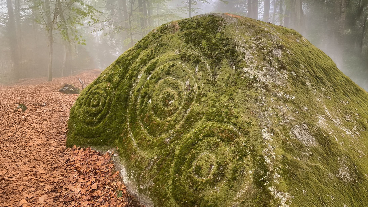 Viele Orte in den Alpen gelten seit Jahrhunderten als besondere Kraftplätze. Auf dieser Führung lernen Sie markante Bäume, Felsen und von Menschen geschaffene Orte der Stille kennen. Begleitet von kurzen Meditationen und stillen Momenten können Sie die besondere Atmosphäre dieser Plätze bewusst wahrnehmen. Jeder Ort erzählt seine eigene Geschichte und lädt dazu ein, in eine tiefere Verbindung mit der Natur zu treten.