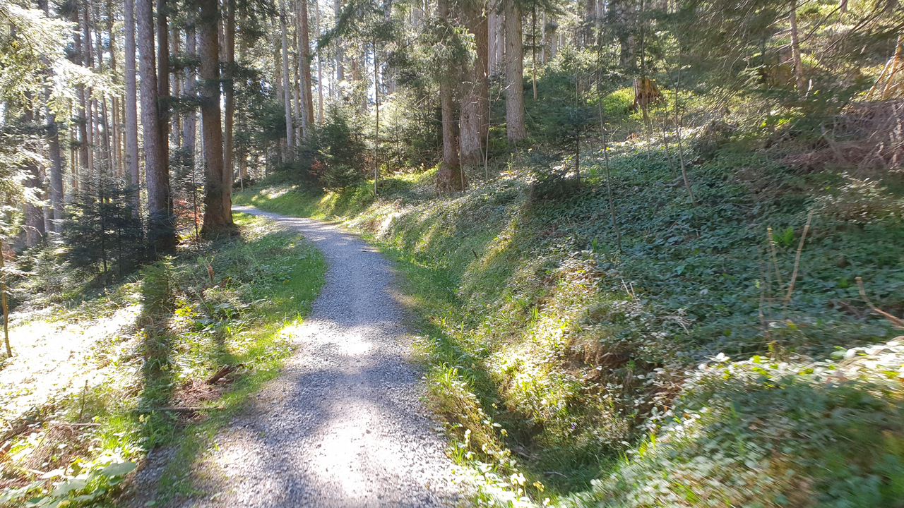 Erleben Sie einen abwechslungsreichen Tag auf der Süffig E-Bike Tour. Die Route startet am Morgen in Teufen mit einer kurzen Einleitung/Erklärung zu den E-Bikes, führt über Bühler zum Gäbris und Hirschberg und endet am Nachmittag in Appenzell. Dank der Zusammenarbeit mit unseren Partnern, der Brauerei Locher AG und der Goba AG ist ein erlebnisreicher und süffiger Teamanlass entstanden. Wir wünschen dabei eine unfallfreie Fahrt, neue Eindrücke und Erkenntnisse sowie viel Spass.