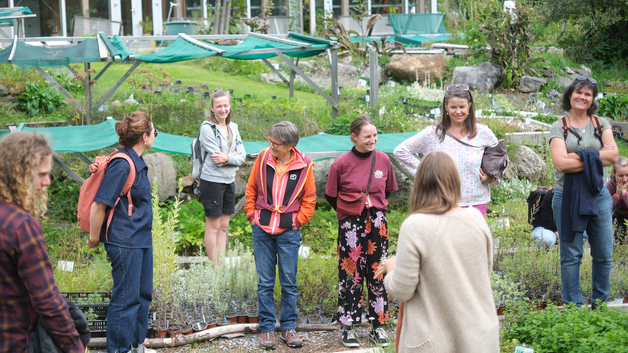 Lebensräume für Bienen & Schmetterlinge Bienen, Schmetterlinge und andere Insekten sind für gesunde Ökosysteme unersetzlich. Auf dieser Führung entdecken Sie die wichtigsten Pflanzen, die Insekten wertvolle Nahrung und Lebensraum bieten. Sie erfahren, an welchen Pflanzen sich Raupen entwickeln, welche Blüten für Wildbienen besonders attraktiv sind und wie wir in der Permakultur gezielt Lebensräume schaffen. Der Rundgang führt Sie quer durch blühende Gartenanlagen und artenreiche Wiesen. Unterwegs gibt es Tipps, wie sich auch im eigenen Garten oder auf dem Balkon insektenfreundliche Strukturen schaffen lassen. Dieses Angebot verbindet Naturwissen mit praktischen Ideen für den eigenen Alltag und inspiriert dazu, Verantwortung für die Umwelt zu übernehmen. Für Firmen und Vereine ist es ein gemeinsames Erlebnis mit bleibendem Mehrwert.