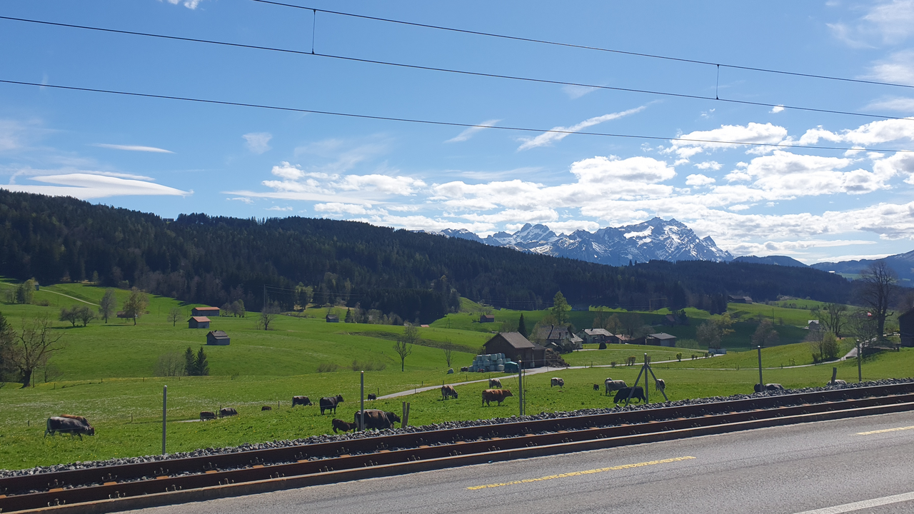 Erleben Sie einen abwechslungsreichen Tag auf der Süffig E-Bike Tour. Die Route startet am Morgen in Teufen mit einer kurzen Einleitung/Erklärung zu den E-Bikes, führt über Bühler zum Gäbris und Hirschberg und endet am Nachmittag in Appenzell. Dank der Zusammenarbeit mit unseren Partnern, der Brauerei Locher AG und der Goba AG ist ein erlebnisreicher und süffiger Teamanlass entstanden. Wir wünschen dabei eine unfallfreie Fahrt, neue Eindrücke und Erkenntnisse sowie viel Spass.