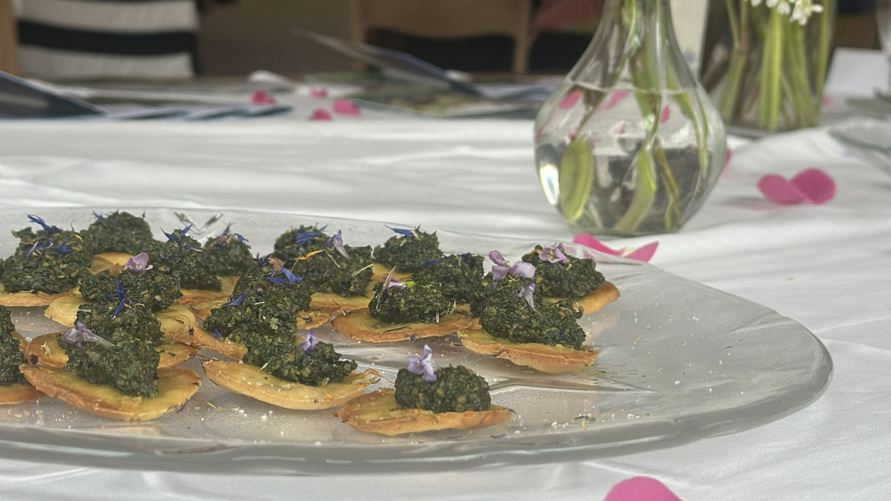 Auf unserem weitläufigen Gelände wachsen nicht nur kultivierte Gartenpflanzen, sondern auch zahlreiche heimische Wildkräuter. Auf dieser Führung lernen Sie essbare Wildpflanzen kennen, ernten und kulinarisch nutzen. Sie erfahren, welche Teile der Pflanzen besonders aromatisch sind und wie sich ihre Aromen mit anderen Zutaten verbinden lassen. Zwischen Wiesen, Waldrändern und Permakulturgärten gibt es reichlich Gelegenheit, die Pflanzen mit allen Sinnen kennenzulernen. Zum Abschluss geniessen Sie einen frisch zubereiteten Wildkräuter-Apéro – aromatisch, saisonal und direkt aus der Natur. Gemeinsames Entdecken und Probieren schärft die Sinne, macht Spass und verbindet. Dieses Angebot ist ideal für Teams, die neue Energie tanken und gleichzeitig etwas Praktisches für den Alltag mitnehmen wollen – ein kulinarischer Ausflug, der in Erinnerung bleibt.