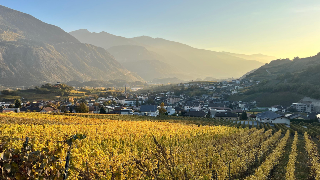 Die Weinwanderung Salgesch verbindet Bewegung, Genuss und Geselligkeit inmitten der Walliser Rebberge. Entlang einer abwechslungsreichen Route entdecken Gruppen regionale Weine, kulinarische Highlights und ein einzigartiges Ambiente. Der Anlass bietet die perfekte Kombination aus Teamevent, Ausflug und genussvollem Erlebnis.