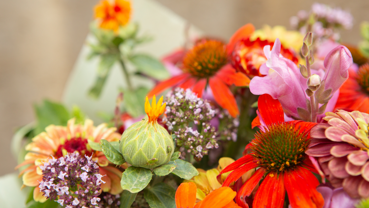 Ihr möchtet lernen, aus einer Auswahl von Blumen einen bunten, saisonalen Strauss zu binden? Im 2-stündigen Kurs erfährt ihr alles Wichtige über Schnittblumen und in welcher Vase ihr sie optimal präsentiert.