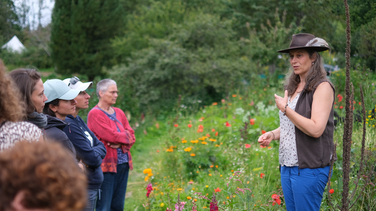 Kraft der Pflanzen – traditionell & heute Viele Pflanzen, Hier in der Schweiz wachsen, werden seit Jahrhunderten als Heilkräuter genutzt. Auf dieser Führung lernen Sie sowohl kultivierte als auch wild wachsende Heilpflanzen kennen und erfahren, welche Wirkungen ihnen zugeschrieben werden. Unsere Kräuterfachleute geben Einblicke in traditionelle Anwendungen und moderne Verarbeitungsmethoden. Sie zeigen, wie Blätter, Blüten und Wurzeln schonend geerntet und zu hochwertigen Produkten wie Tee, Ölauszügen oder Salben verarbeitet werden. Ein inspirierender Ausflug, der altes Wissen mit modernen Ansätzen verbindet.