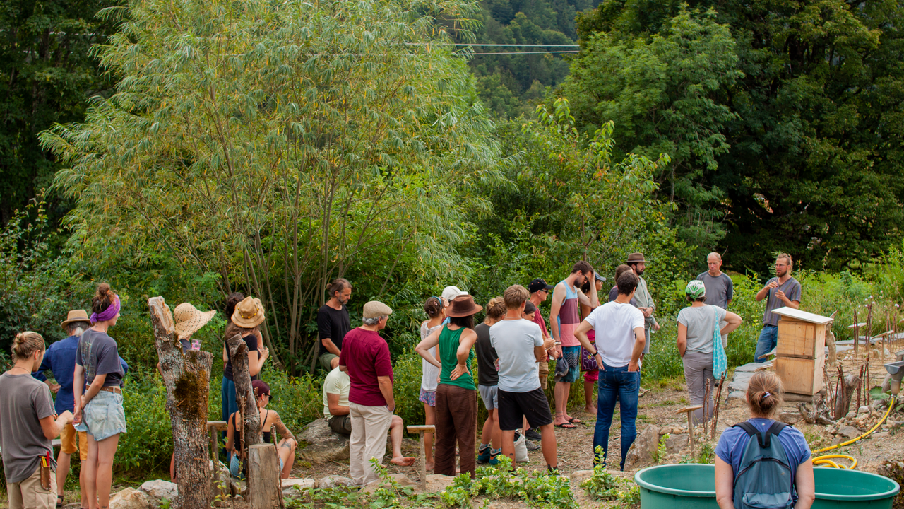 Lebensräume für Bienen & Schmetterlinge Bienen, Schmetterlinge und andere Insekten sind für gesunde Ökosysteme unersetzlich. Auf dieser Führung entdecken Sie die wichtigsten Pflanzen, die Insekten wertvolle Nahrung und Lebensraum bieten. Sie erfahren, an welchen Pflanzen sich Raupen entwickeln, welche Blüten für Wildbienen besonders attraktiv sind und wie wir in der Permakultur gezielt Lebensräume schaffen. Der Rundgang führt Sie quer durch blühende Gartenanlagen und artenreiche Wiesen. Unterwegs gibt es Tipps, wie sich auch im eigenen Garten oder auf dem Balkon insektenfreundliche Strukturen schaffen lassen. Dieses Angebot verbindet Naturwissen mit praktischen Ideen für den eigenen Alltag und inspiriert dazu, Verantwortung für die Umwelt zu übernehmen. Für Firmen und Vereine ist es ein gemeinsames Erlebnis mit bleibendem Mehrwert.