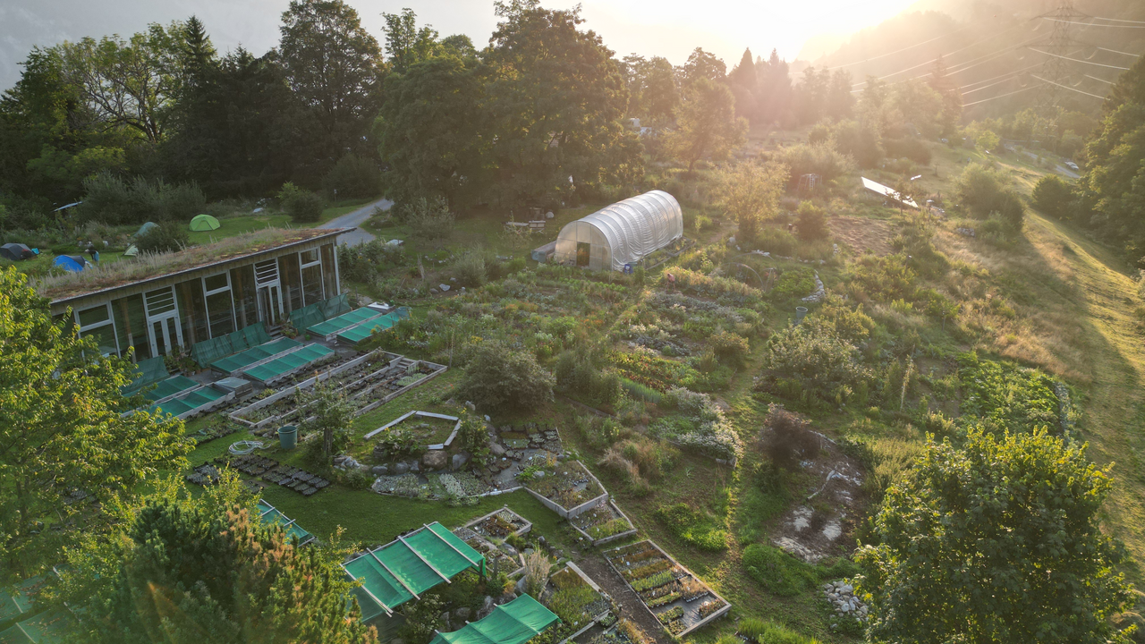 Die Natur ist ein reich gedeckter Tisch – wenn man weiss, wo man hinschauen muss. Bei diesem besonderen Erlebnis lernen Sie essbare Wildpflanzen kennen, sammeln und geniessen. Dabei entdecken Sie nicht nur spannende Geschmacksrichtungen, sondern auch die Freude am unmittelbaren Verarbeiten mit dem, was direkt um uns wächst.