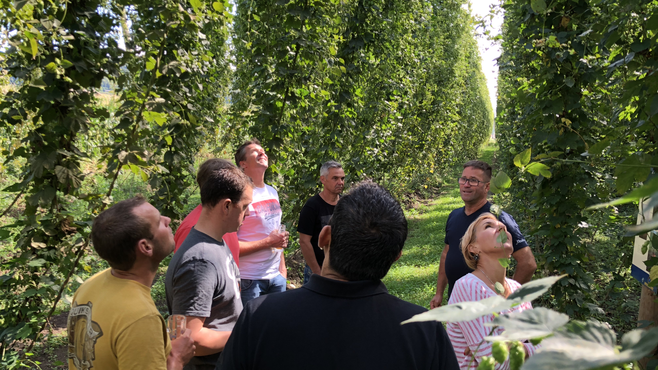 Bierbrauen hautnah erleben Erleben Sie den Hopfenbau und die Landwirtschaft hautnah, Brauen Sie Ihr eigenes Bier und geniessen Sie bei uns ein feines Essen. Der Brauhof bietet vielfältige Führungen und Seminare für alle «Hopfen und Malz»-Begeisterte an.