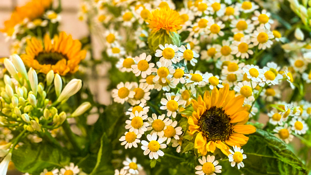 Ihr möchtet lernen, aus einer Auswahl von Blumen einen bunten, saisonalen Strauss zu binden? Im 2-stündigen Kurs erfährt ihr alles Wichtige über Schnittblumen und in welcher Vase ihr sie optimal präsentiert.