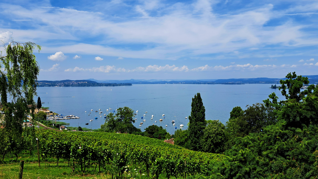 Bei dieser entspannten E-Bike Tour erkunden Sie mit dem Guide die regionalen Sehenswürdigkeiten und bekommen einen Eindruck von Land und Leuten. Sind Sie bereit, um beispielsweise auf den Spuren Napoleons des III eine interessante und spannende geführte Tour zu unternehmen ? Preis ist pro Person inklusive E-Bike und Helm, beachtet das Mindestalter bei E-Bikes beträgt 14 jahre.