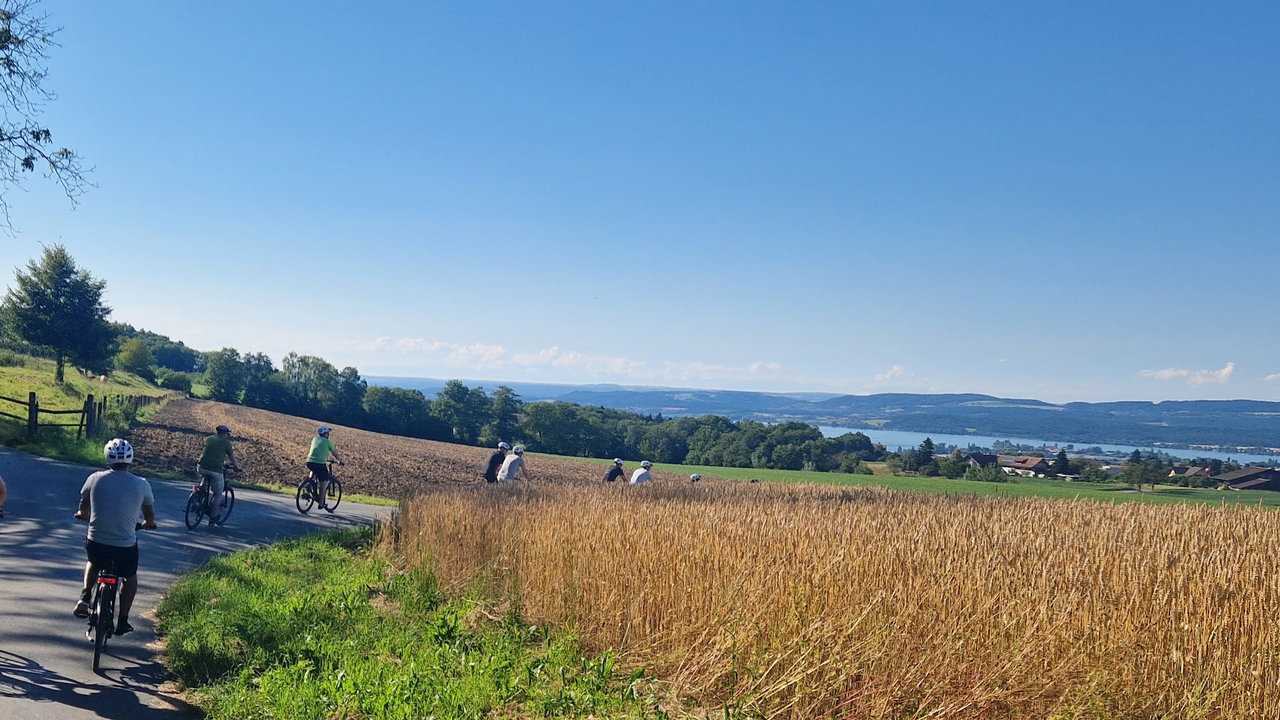 Bei dieser entspannten E-Bike Tour erkunden Sie mit dem Guide die regionalen Sehenswürdigkeiten und bekommen einen Eindruck von Land und Leuten. Sind Sie bereit, um beispielsweise auf den Spuren Napoleons des III eine interessante und spannende geführte Tour zu unternehmen ? Preis ist pro Person inklusive E-Bike und Helm, beachtet das Mindestalter bei E-Bikes beträgt 14 jahre.