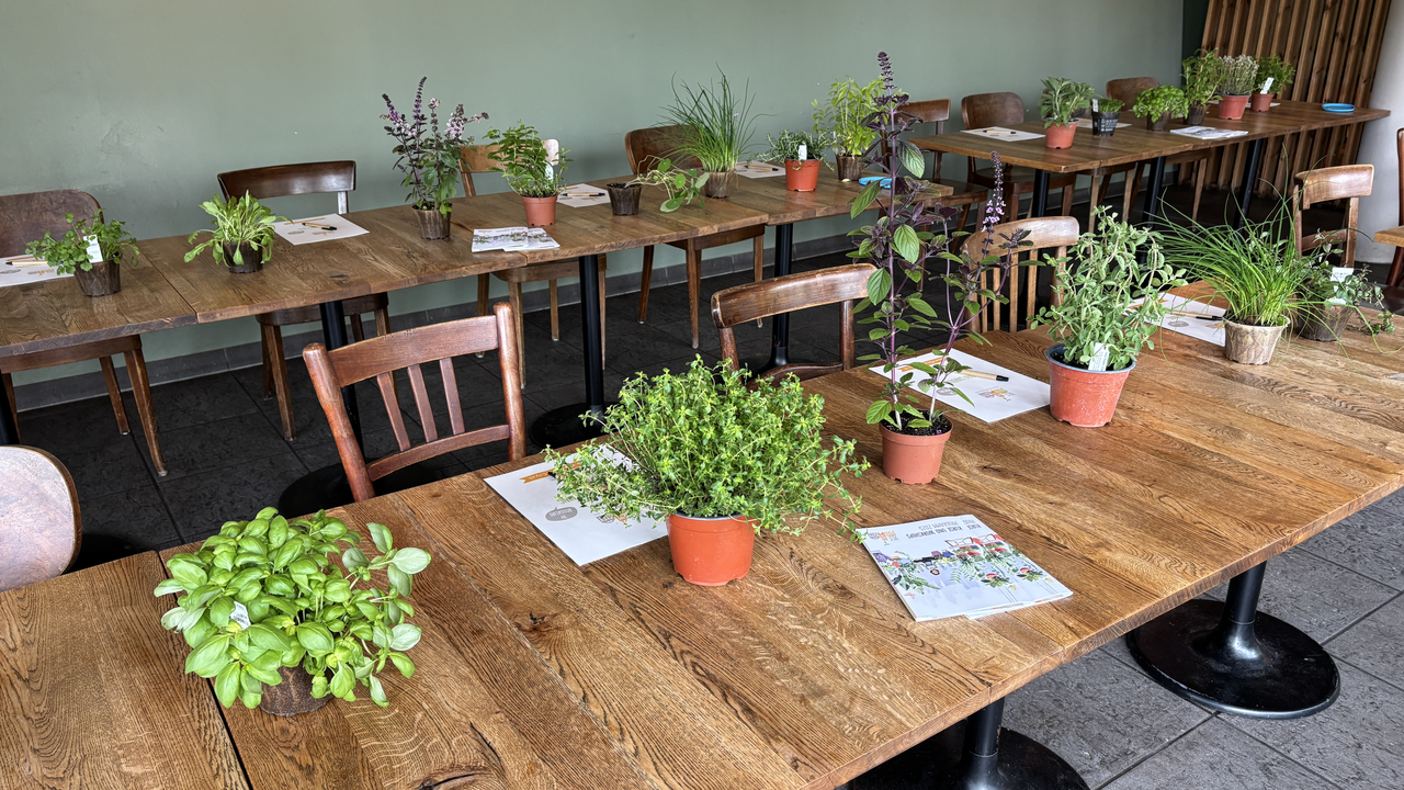 Im Erlebnisworkshop «Urbanes Gärtnern leicht gemacht» erfahrt ihr, wie ihr in Pflanzgefässen auf dem Balkon, der Terrasse oder dem Fensterbrett Gemüse und Kräuter anpflanzen könnt.