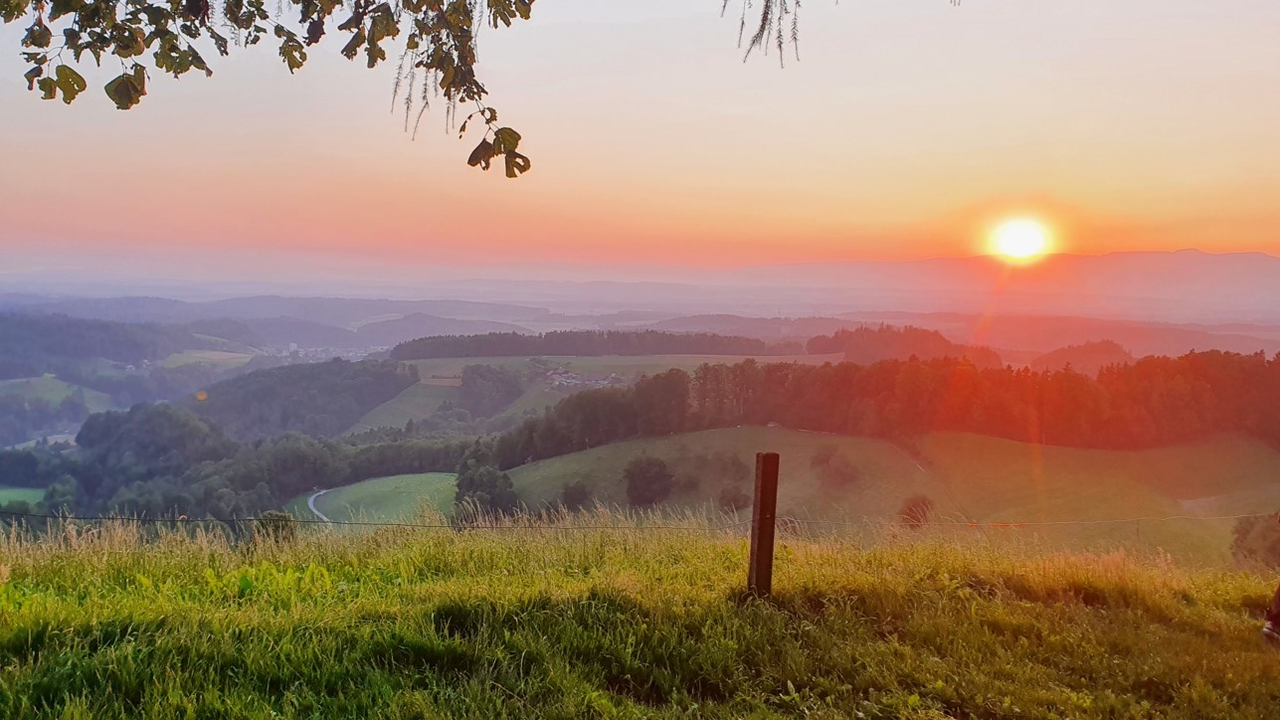 Essen auf dem Bauernhof Geniessen Sie die Gastfreundschaft bei Susanne auf dem Bauernhof. Der Bauernhof mit verschiedenen Tieren liegt im idyllischen Weiler Ferrenberg in den Wynigerbergen in der Nähe von Burgdorf. Susannes Spezialität sind traditionelle Schweizer Gerichte, die sie mit viel Liebe zubereitet. Geniessen Sie das feine Essen in der guten Bauernstube oder im herrlichen Garten. Nach dem Essen können Sie in die Region entdecken und zum Aussichtspunkts Oberbühlchnubel wandern. Die Bäuerin bereitet Ihnen auch Apéro-Chörbli oder Zvieri-Säckli für die Wanderung vor.