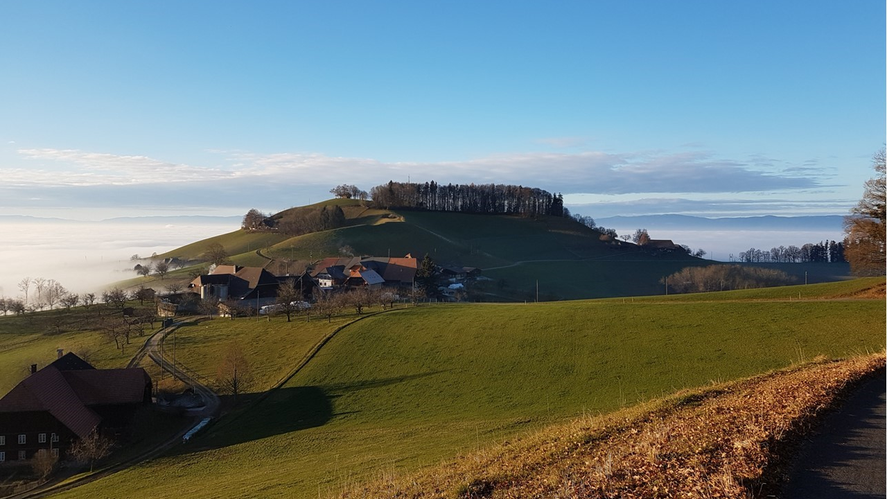 Essen auf dem Bauernhof Geniessen Sie die Gastfreundschaft bei Susanne auf dem Bauernhof. Der Bauernhof mit verschiedenen Tieren liegt im idyllischen Weiler Ferrenberg in den Wynigerbergen in der Nähe von Burgdorf. Susannes Spezialität sind traditionelle Schweizer Gerichte, die sie mit viel Liebe zubereitet. Geniessen Sie das feine Essen in der guten Bauernstube oder im herrlichen Garten. Nach dem Essen können Sie in die Region entdecken und zum Aussichtspunkts Oberbühlchnubel wandern. Die Bäuerin bereitet Ihnen auch Apéro-Chörbli oder Zvieri-Säckli für die Wanderung vor.