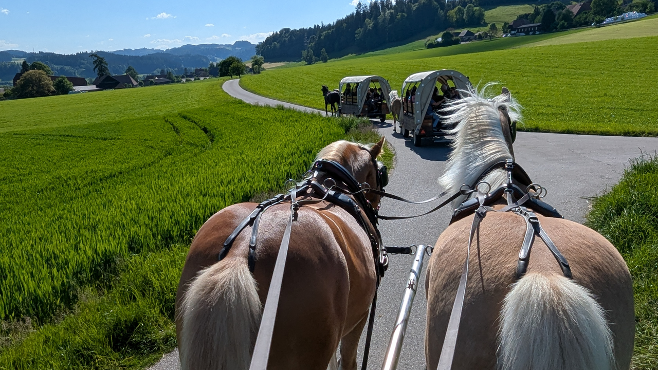 Du willst deinen runden Geburtstag oder ein anderes wichtiges Fest an einem aussergewöhnlichen Ort mit viel Charme und besonderem Charakter feiern? Dank dem stilvoll restaurierten historischen Berner-Bauernhaus mit seiner heimeligen Atmosphäre bietet dieser Ausflug den idealen Ort.