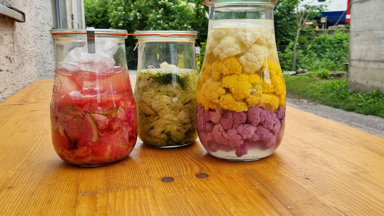 Workshop Fermentieren und Degustieren Im Grundkurs Fermentation erhalten Sie einen kurzen Einblick in die Geschichte und Anwendungsbereiche der Fermentation. Nach einem Theorieteil können Sie selber Milchsäure-Fermentationen erstellen, degustieren und am Schluss die Kreationen nach Hause nehmen.